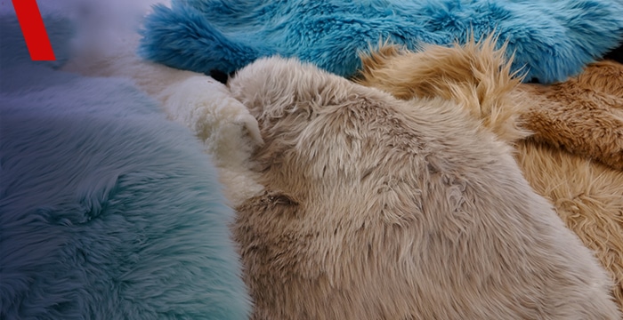 Crackdown on ‘fake’ fur supply chain failures Crackdown on ‘fake’ fur supply chain failures
