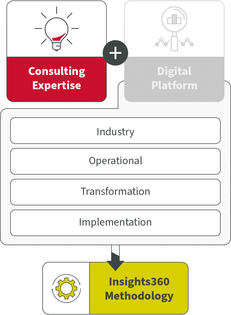 Consulting Expertise Model (Portrait)