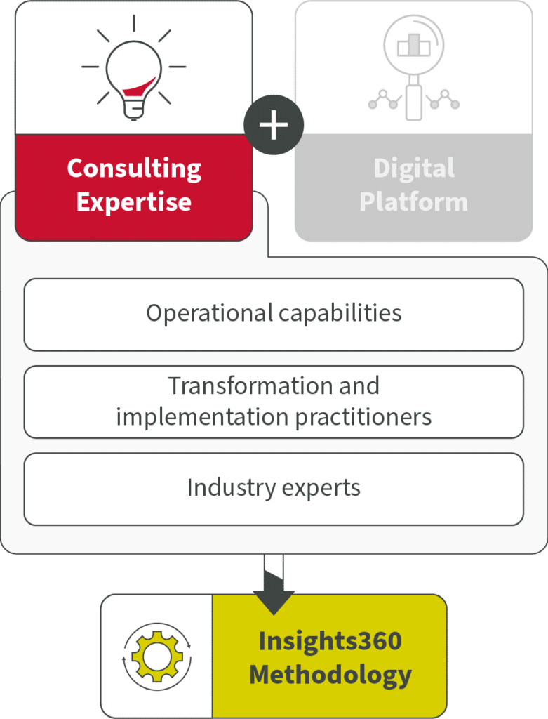 Consulting Expertise Model