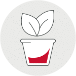 Icon of plant in pot