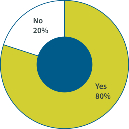 Pie Chart - No 20% - Yes 80%