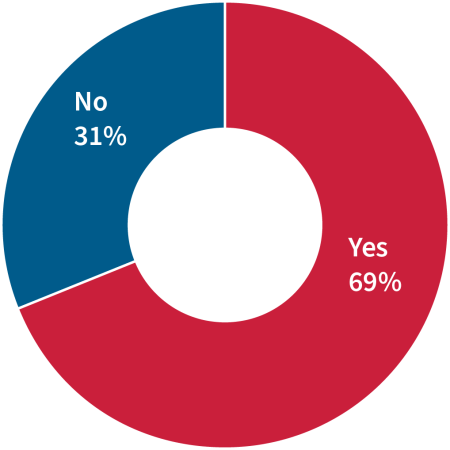 Pie Chart - Yes 69% - No 31%